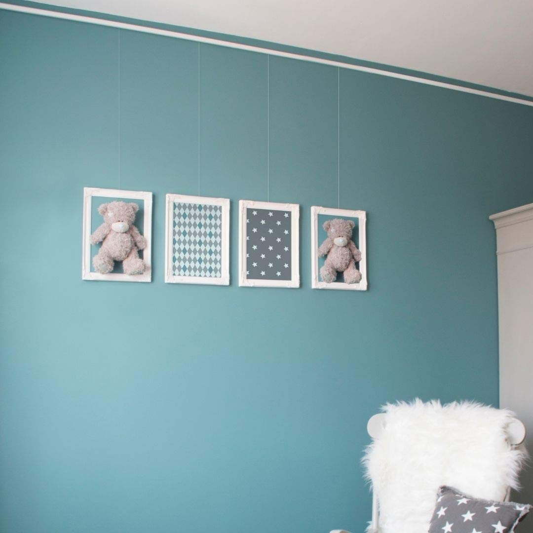 STAS Minirail Picture Hanging System- Complete Kit